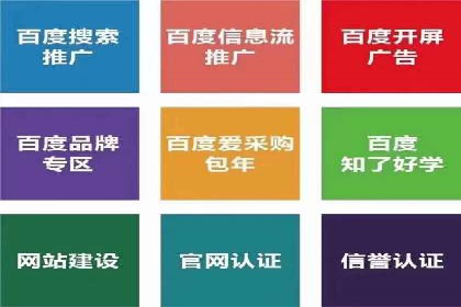 竞价广告实战：XX品牌如何通过竞价提升品牌影响力